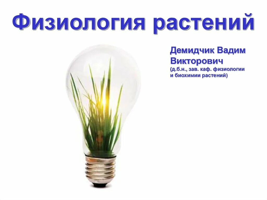 Процессы физиологии растений. Физиология растений. что такое физиология растений в биологии. физиологические процессы растений. физиолог растений.