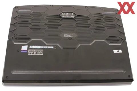 Msi ge66 raider