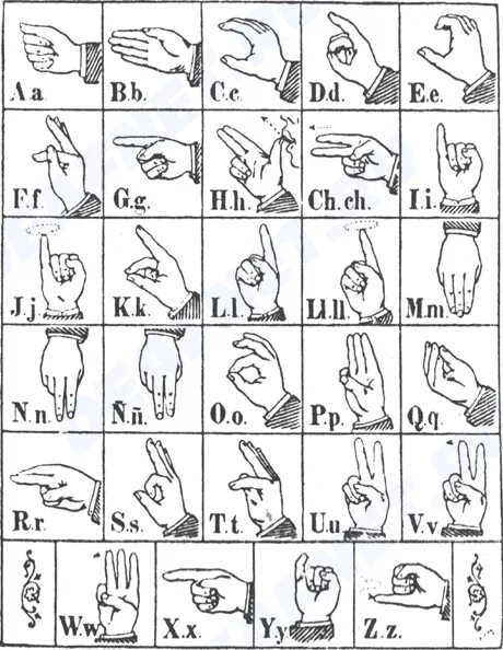 Язык для слабослышащих. Язык жестов дактильная Азбука. Дактильная Азбука глухих жесты английская. Азбука жестов глухонемых слова. Дактильная Азбука глухих английский алфавит.