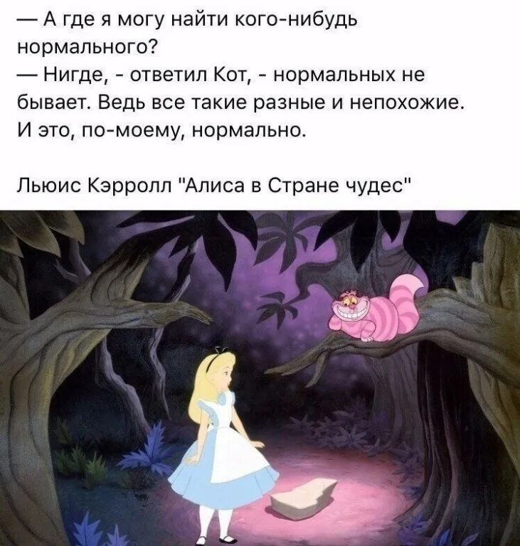 здесь есть кто нибудь винипух. алиса в стране чудес а нормальные бывают. нашла здесь кого нибудь. нашла здесь кого нибудь. винни-пух есть кто-нибудь дома.