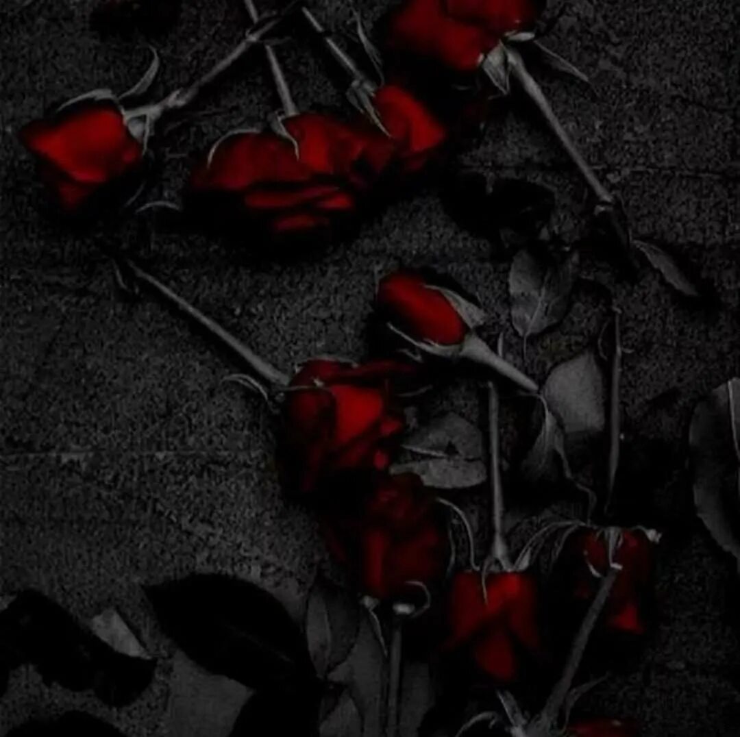 Разбитые цветы. Красно черные цветы. Мрачные цветы. Черно красные цветы. Красные розы Эстетика.