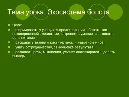 Биогеоценоза болота