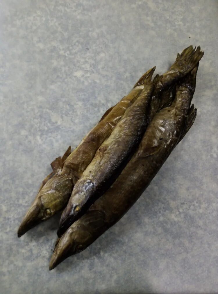 рыба щука копченая. толстолобик юкола холодного копчения. копчёныекорнишоны горячего копчения. копченая щука горячего копчения. копчение щуки.