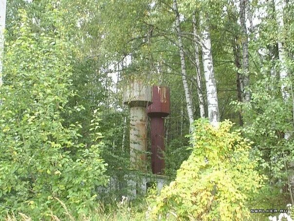 Тихий уголок костромская область санаторий. Каострома" тихий уголок". Дом отдыха тихий уголок костромская область. Дом отдыха тихий уголок. Дом отдыха тихий уголок костромская область.