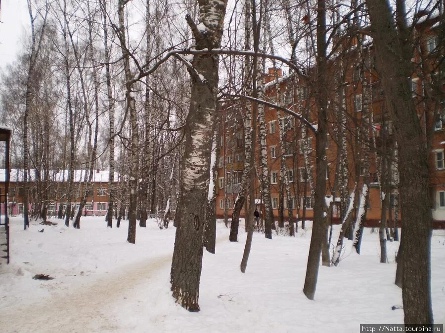 Наро фоминск зимой. Зимний наро фоминск наро фоминск. наро-фоминск достопримечательности зимой. наро фоминск парк зимой.