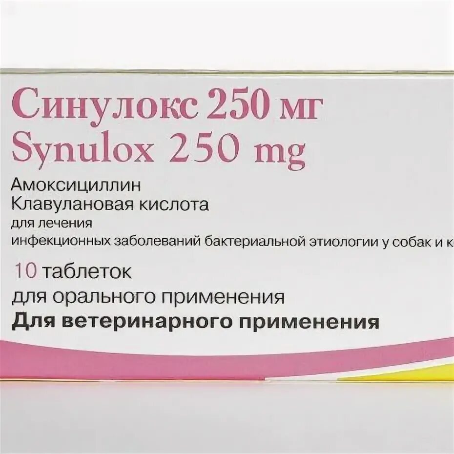 Синулокс 50 аналог. Синулокс 250. синулокс 250 мг для собак. таблетка синулокса 250мг. синулокс аналоги.