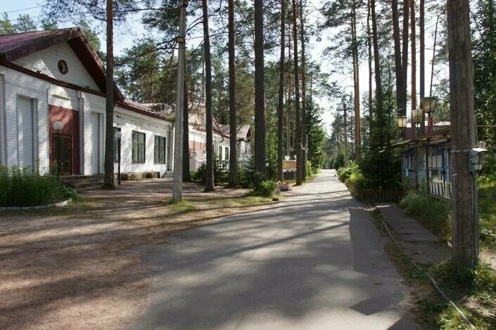 Дол городская область. Зелёный город лагерь им Тамары Трушковской. Лагерь зеленый дол Трушковской. Каннельярви лагерь зеленый город. Лагерь зелёный город в Ленинградской области.