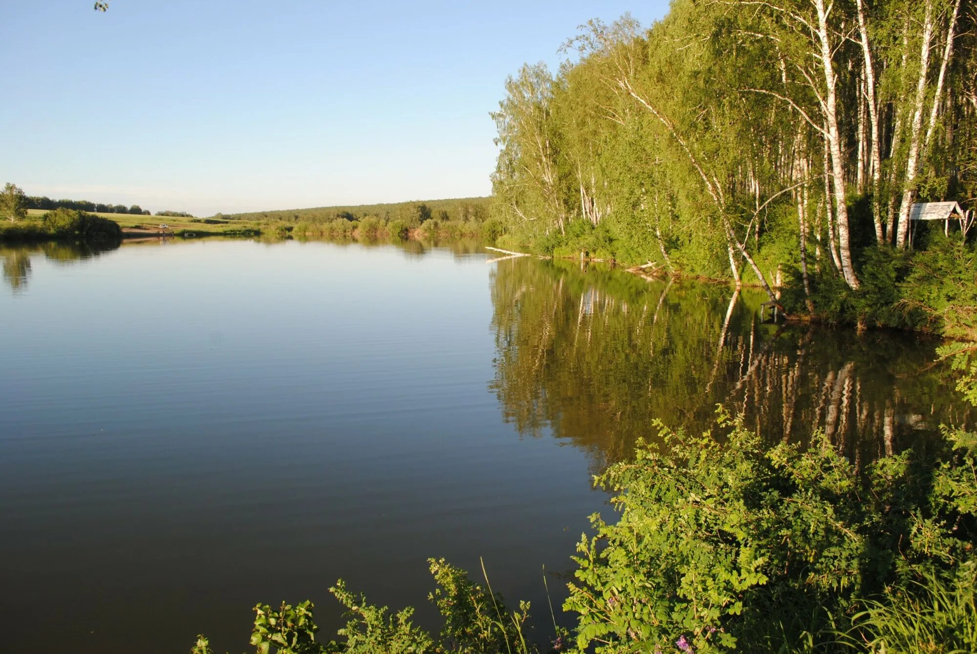 Родник рыбное. Топкинский пруд. Водоёмы Кемеровской области. Платный водоем Родники. Топкинский городской пруд.