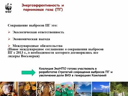 Экологическая позиция