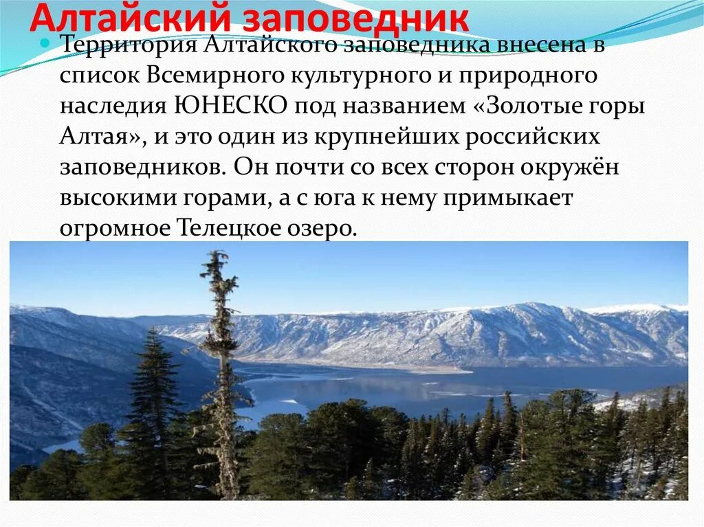 Заповедники России фото и названия. Самые крупные заповедники России. Самый большой заповедник в России. Сообщение о заповеднике России.