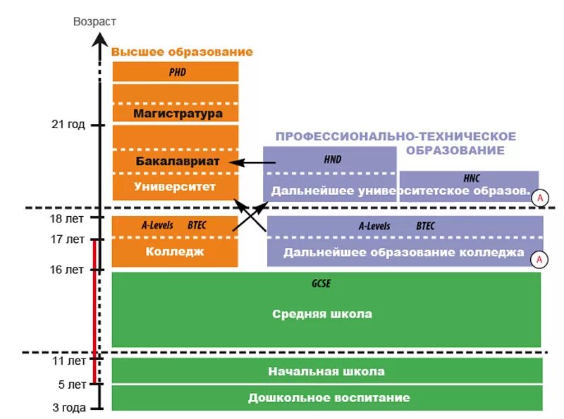 Схема образовательной системы Великобритании. Система образования в Великобритании схема. Система школьного образования в Великобритании схема. Структура системы образования в Англии.