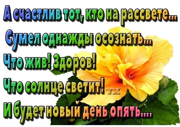 Ах как хочется просто жить улыбаться проснувшись. Ах как хочется просто жить. Ах как хочется просто жить улыбаться проснувшись Окуджава. Ах как хочется просто жить Окуджава.