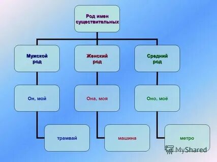Имя это какой род существительного