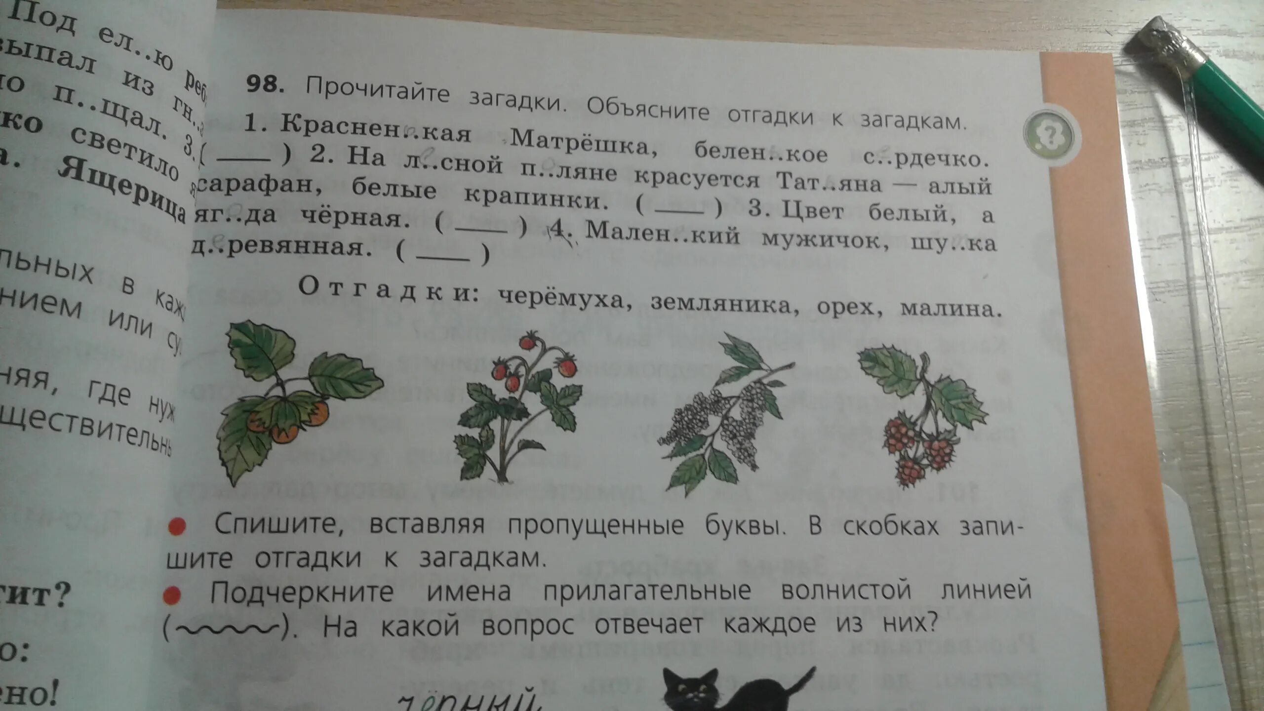 Прочитай загадки напиши отгадки. Загадки. Загадки и отгадки. Маленькие загадки. Отгадка на загадку маленький мужичок шубка деревянная.