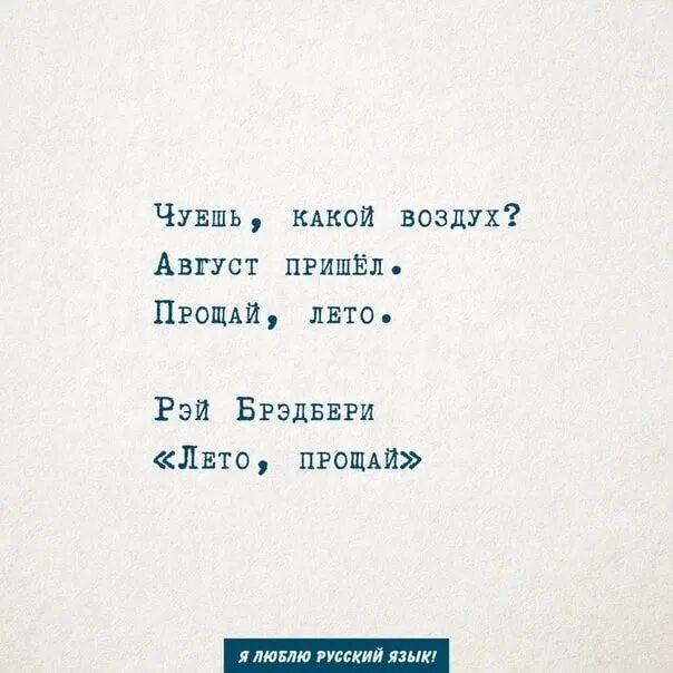 Чую чую я кочую текст
