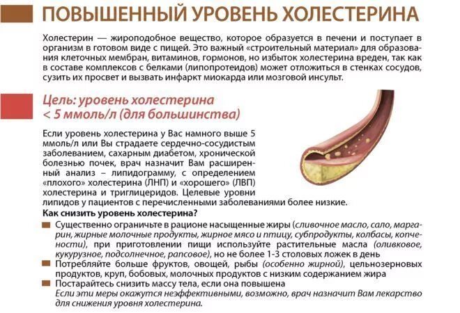 Повышается ли уровень. Причины повышенного холестерина. повышение уровня холестерина в крови причины. повышенный уровень холестерина в крови у женщин причины лечение. холестерин в крови повышен у мужчин причины.