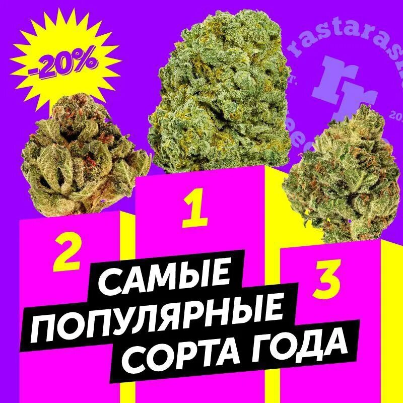 Конопля гиганты. Библия гровера. Хорхе сервантес высший пилотаж. Хорхе сервантес книги. Конопля в библии.