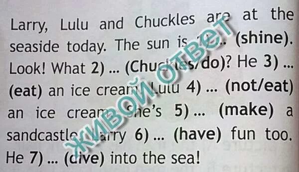 How is chuckles. How old is chuckles. how old is chuckles ответ. chuckles перевод. chuckles перевод на русский 2 класс.