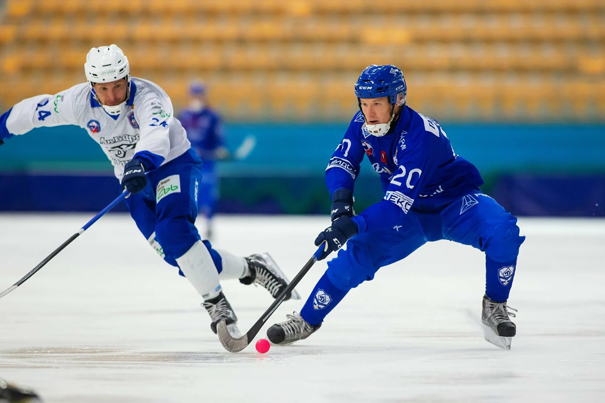 Динамо хоккей с мячом. ХСМ Динамо Москва. Bandy хоккей с мячом. Енисей Динамо Москва хоккей с мячом.