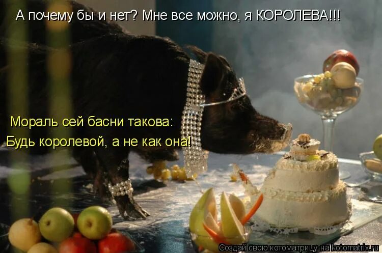 Таков какой есть. Мораль сей басни такова. королеве можно все. королеве можно всё. я королева мне все можно видео.