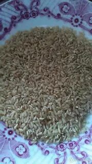 Бурый рис время варки