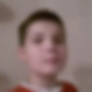 24 подписчика
