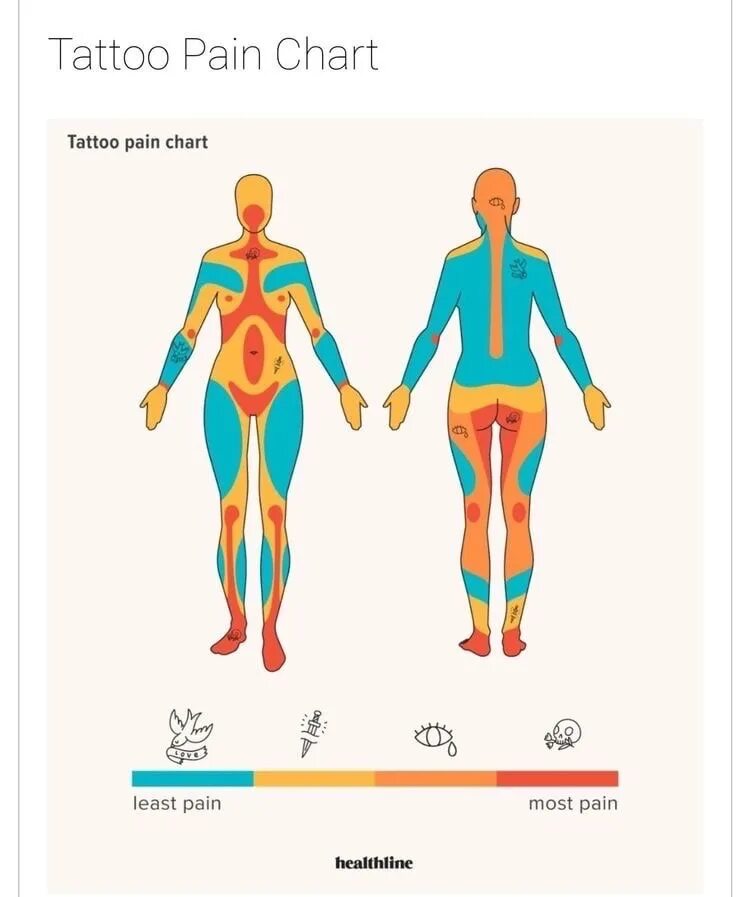 Болезненные тату. Болезненные места для татуировок. Самые больные места для тату. Зоны боли тату. Карта боли тату.