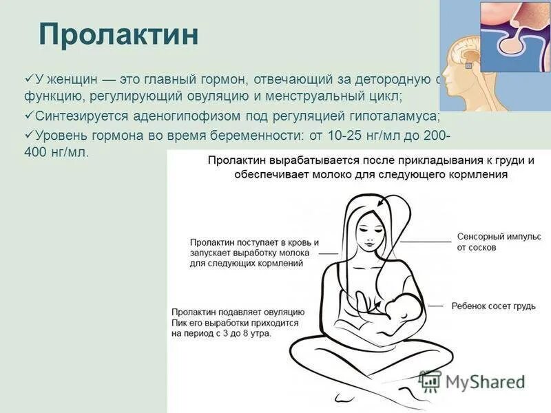 Пролактин симптомы у женщин. Пролактин у женщин. пролактин за что отвечает. пролактин женский гормон. пролактин гормон повышен у женщин.