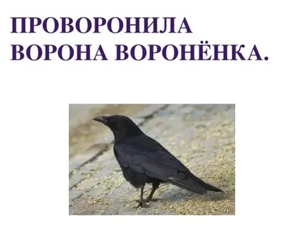 Проворонила ворона воронят