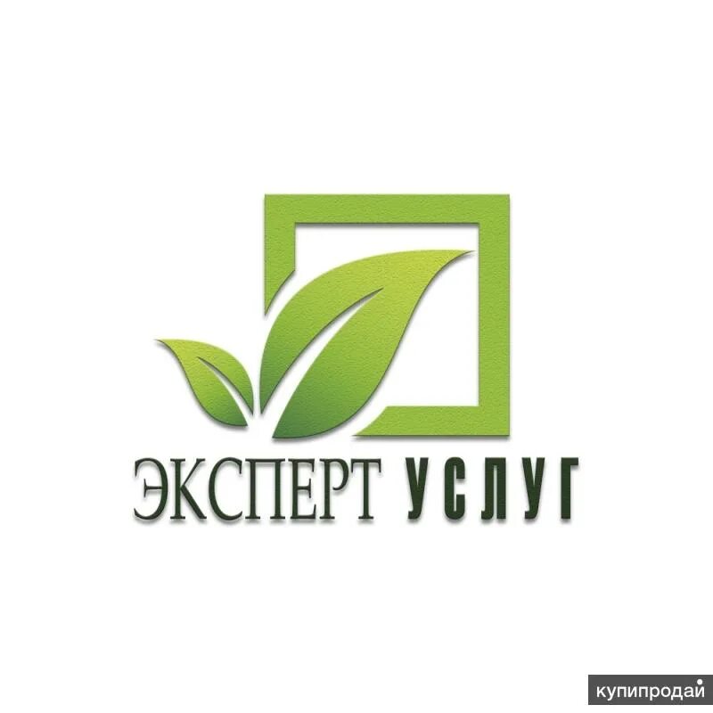 Экспертное обслуживание