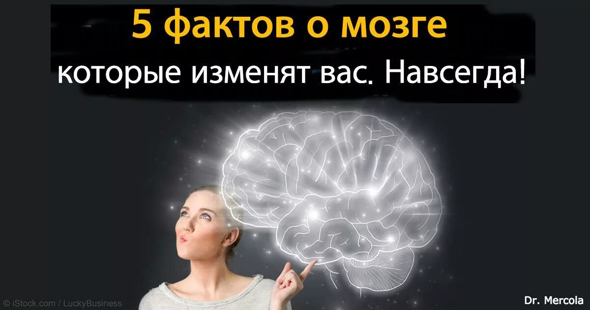 Факты о мозге. Факты о мозге. Интересные факты о головном мозге. Интересные факты. Факты о мозге.