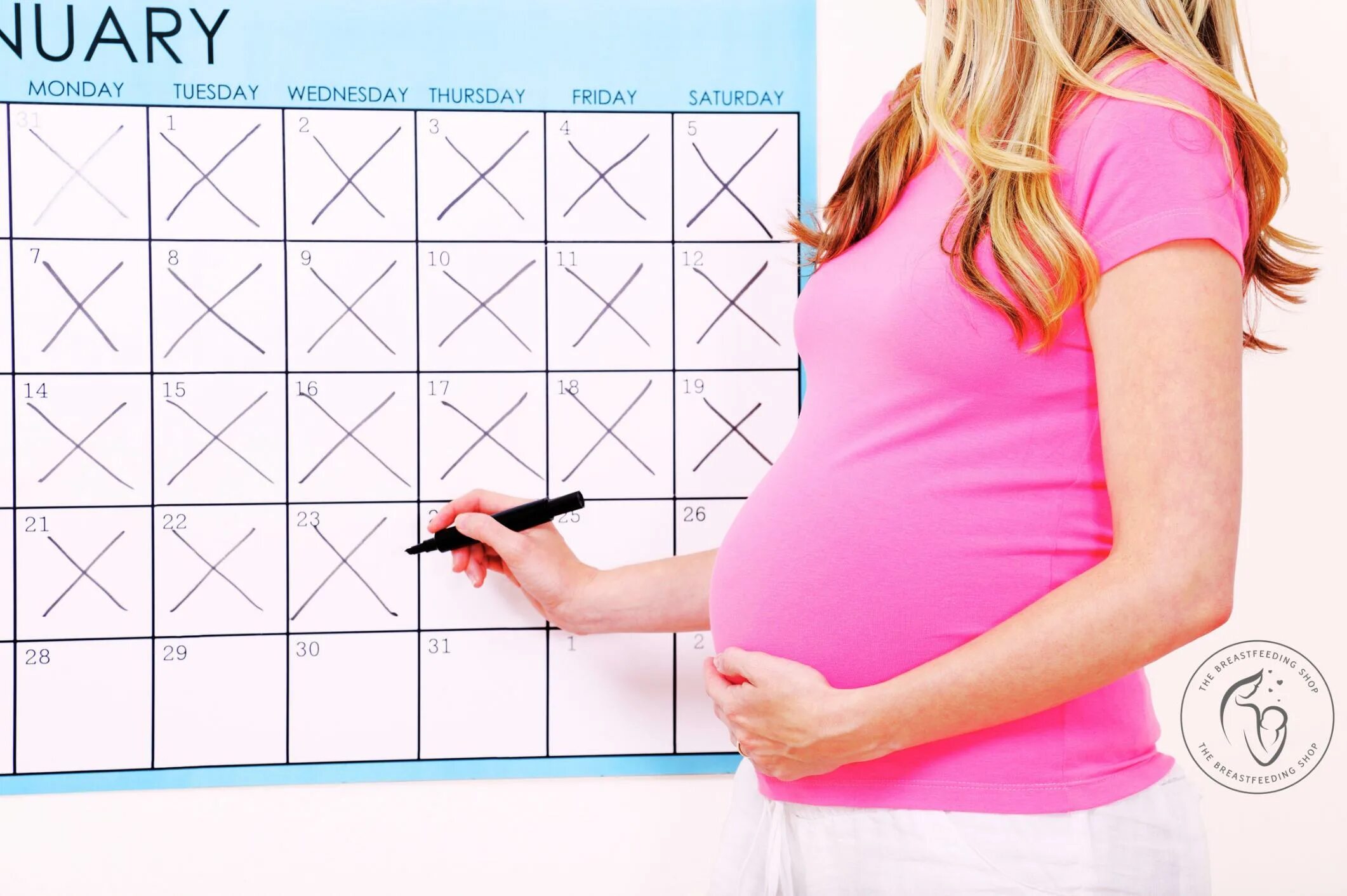 Течение беременности у человека месяцы. Срок беременности. Календарь беременной. Акушерский калькулятор беременности. Календарь для беременных рисунки.