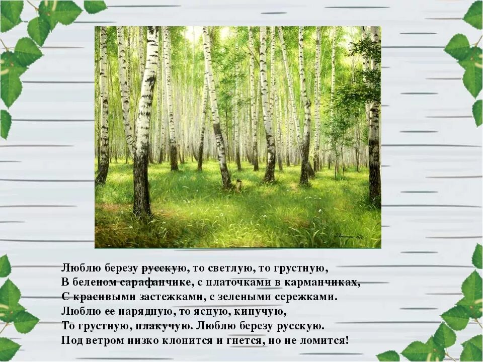 Березовая какое число