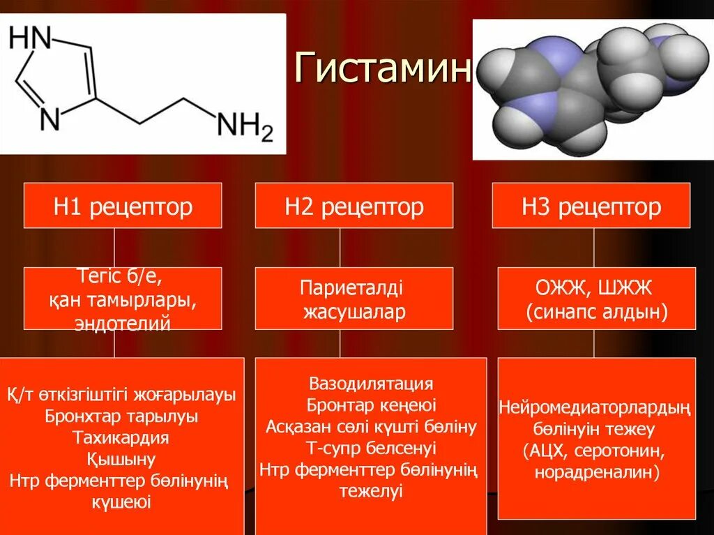 Гистамин действие. Гистамин химическая формула. Гитсталин. Гистамин структурная формула. Гистамин структура.