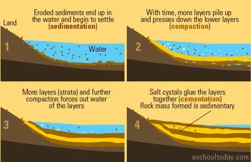 Sediment. Sedimentary basins. sedimentary rocks. sediment перевод. sedimentary basins development.