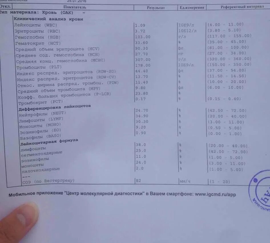 Иммунограмма. Иммунограмма ВИЧ. Иммунограмма при ВИЧ инфекции. Иммунограмма норма