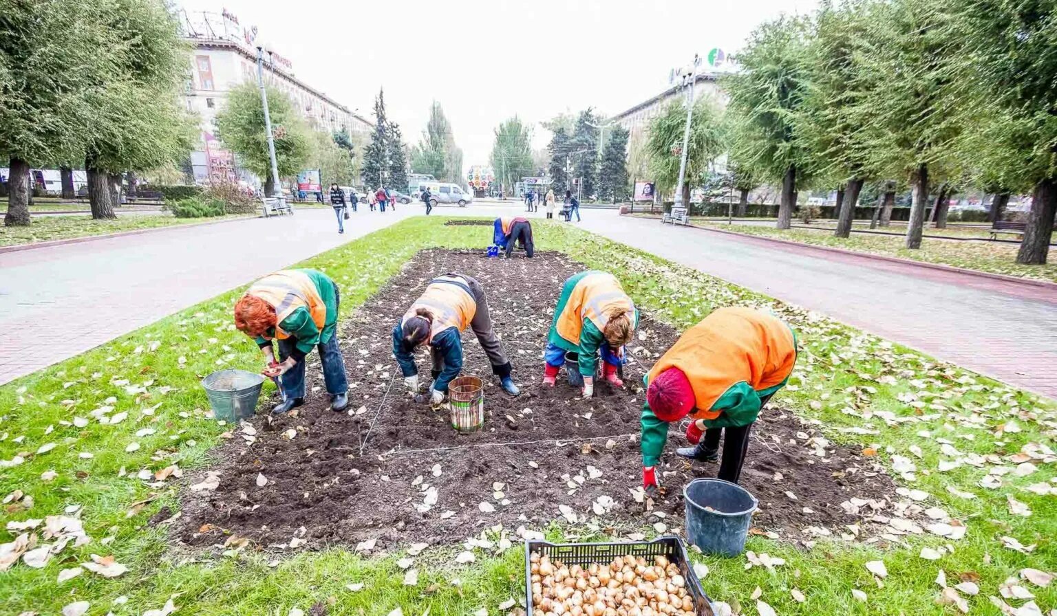 Общественные работыботы. Общественные работы. Оплачиваемые общественные работы. Общественные работы. Оплачиваемые общественные работы.