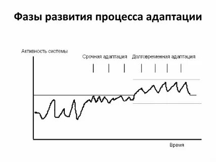 Процесс развитие и адаптация
