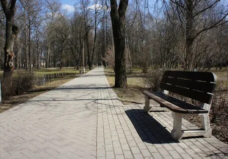 Лесопарк мытищи