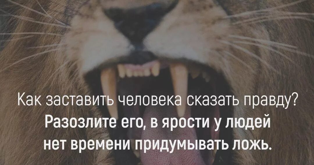 Как как человека заставить правду. Хочешь узнать правду разозли человека. Как заставить человека говорить правду. Заставить сказать правду. Как заставить человека сказать правду.