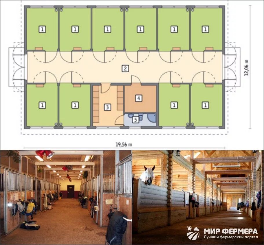 Проект конюшни на 10 голов лошадей. Конюшня на 20 голов проект. Проект конюшни на 4 денника. Конюшня планировка. Схема конюшни