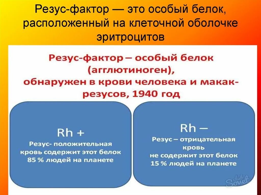 Резус отрицательный rh