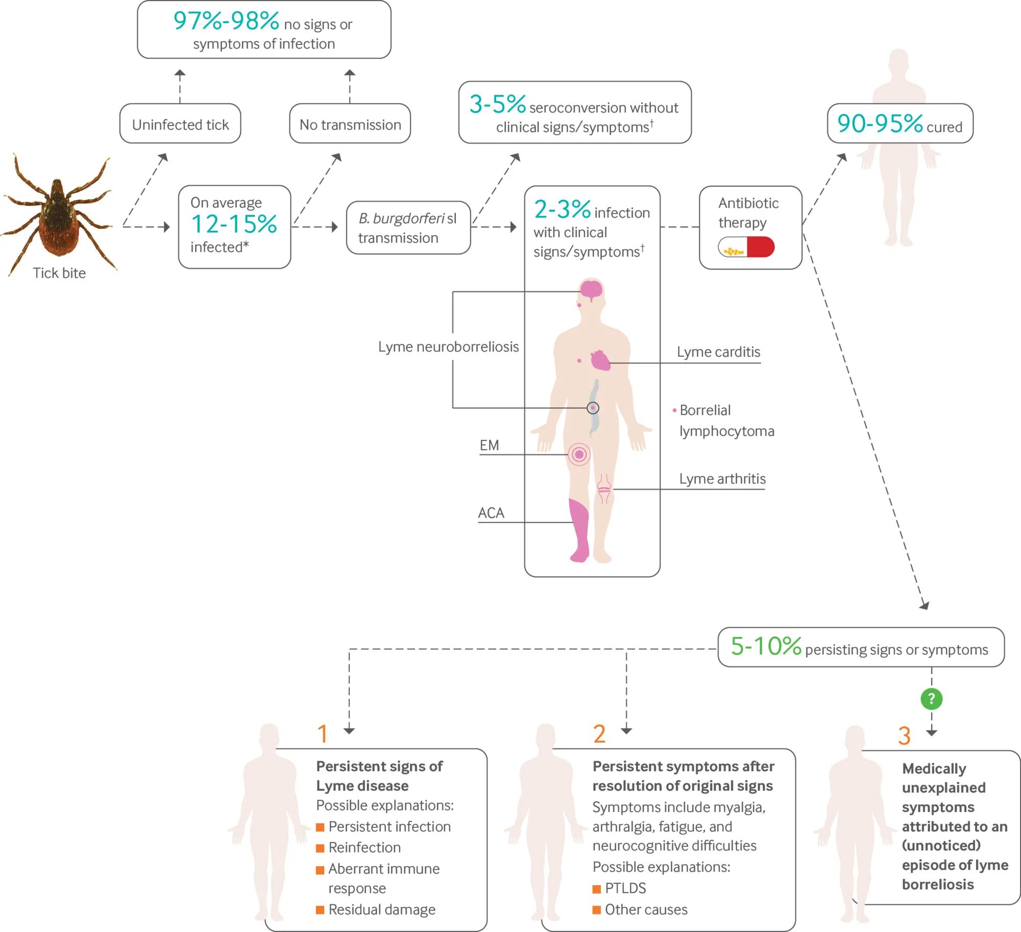 Кушингоидное ожирение. Disease syndrome. Болезнь кушинга у женщин. Болезнь иценко кушинга пациент. Disease syndrome.