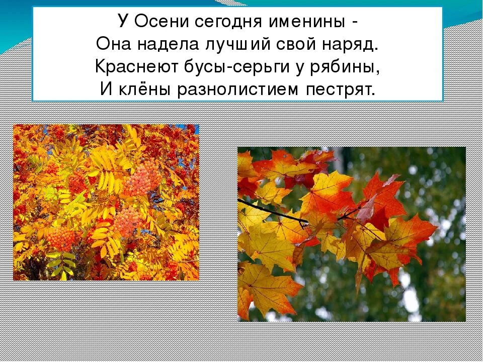 Именины земли. Стих в лесу был пир. Басня в лесу справляли именины на них был заяц приглашен. Лев и заяц басня крылова. 23 мая именины земли.