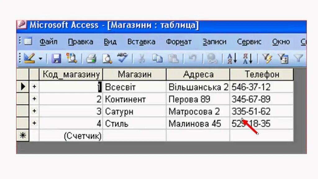 Темы access. Маска для номера телефона access. Access 3. Кратен 3 в access. Microsoft access доклад.