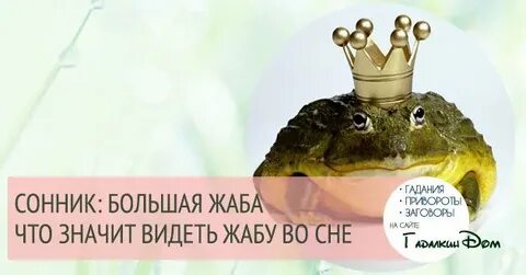 Видеть во сне жабы большие