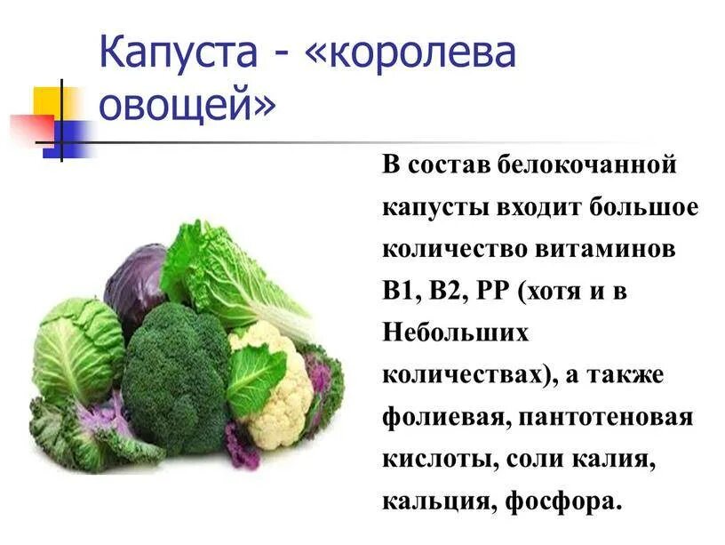 С какого возраста можно давать капусту