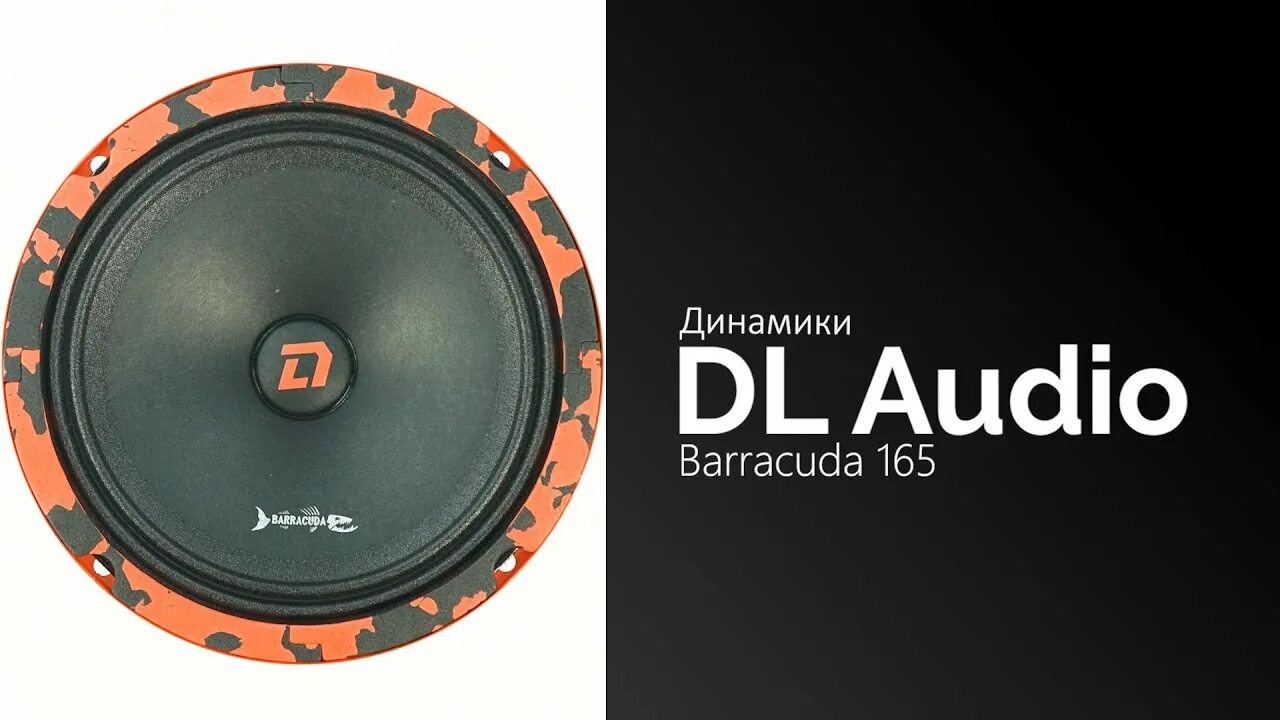Барракуда 165. Колонки barracuda 165. dl audio barracuda 165. динамики dl audio barracuda. dl audio barracuda 200.