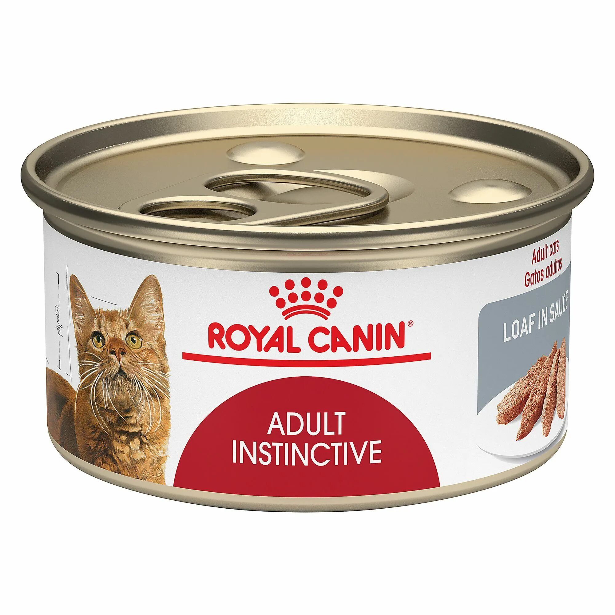 Роял линейка. Роял Канин Kitten для кошек. Royal Canin Babycat паштет. Роял Канин консервы для кошек. Роял Канин mother Babycat.