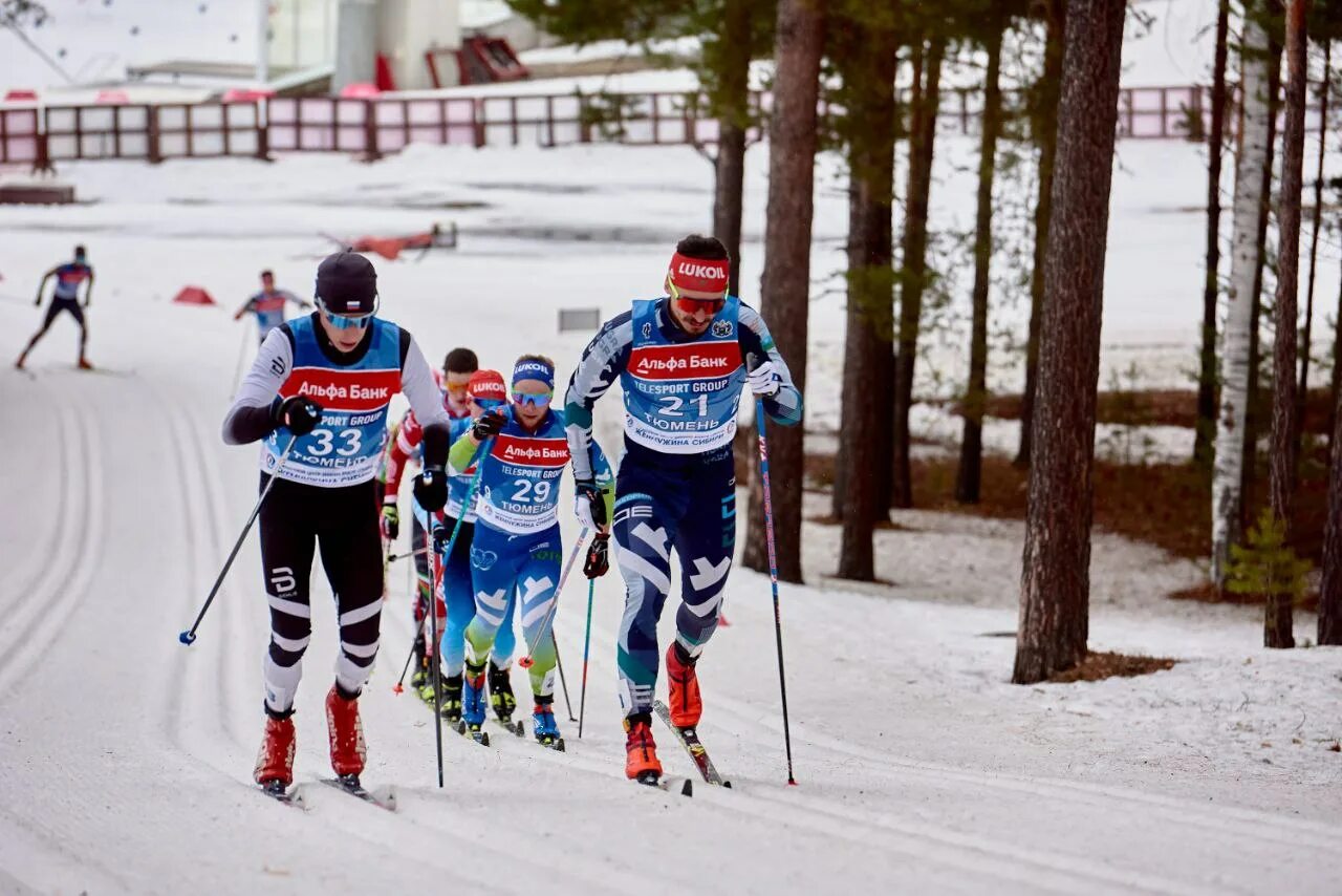 Лыжные гонки спартакиада Тюмень.